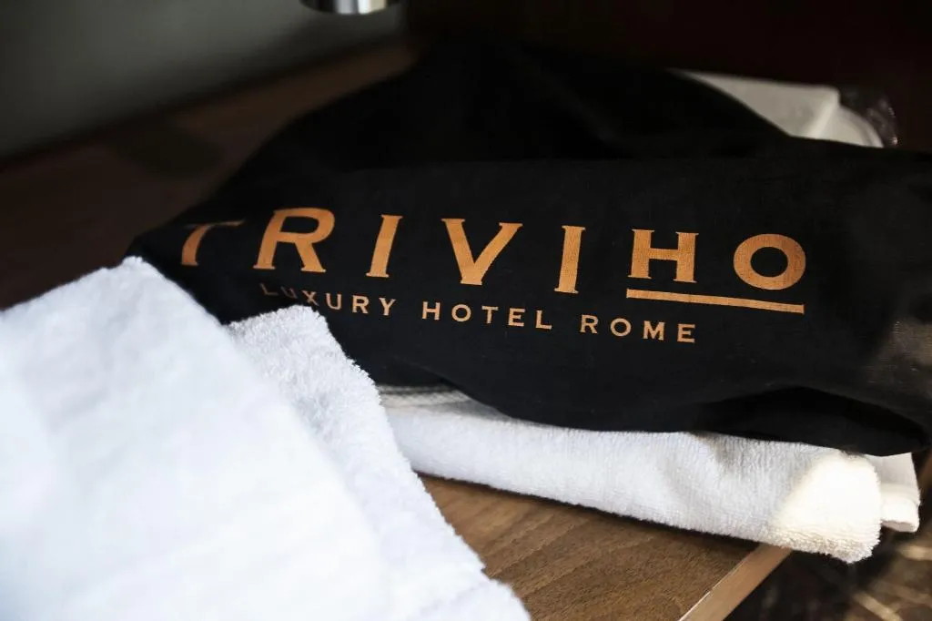 DOUBLE DELUXE WITH TERRACE Room, Triviho, Rome