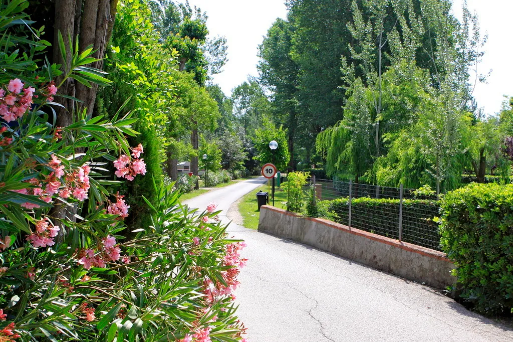 General view, Camping Tiber, Rome