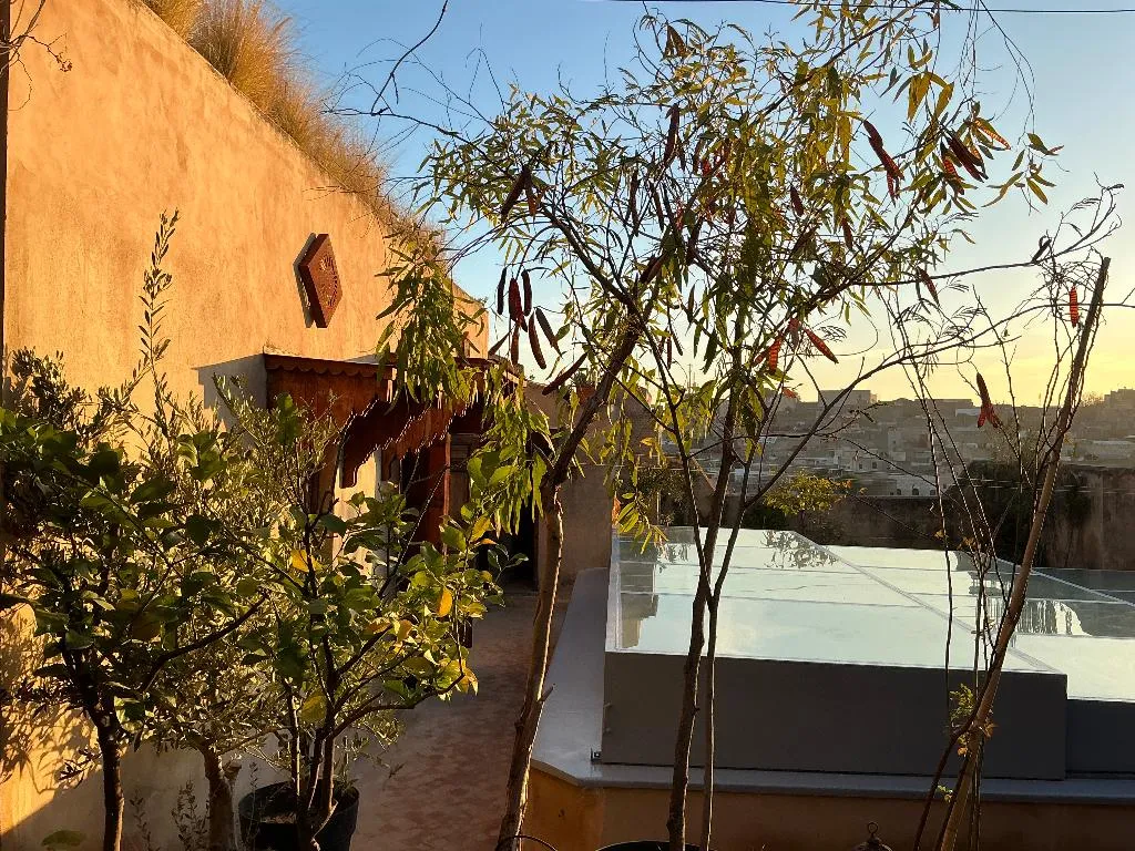 Terrace, Dar 7 Louyat, Fez