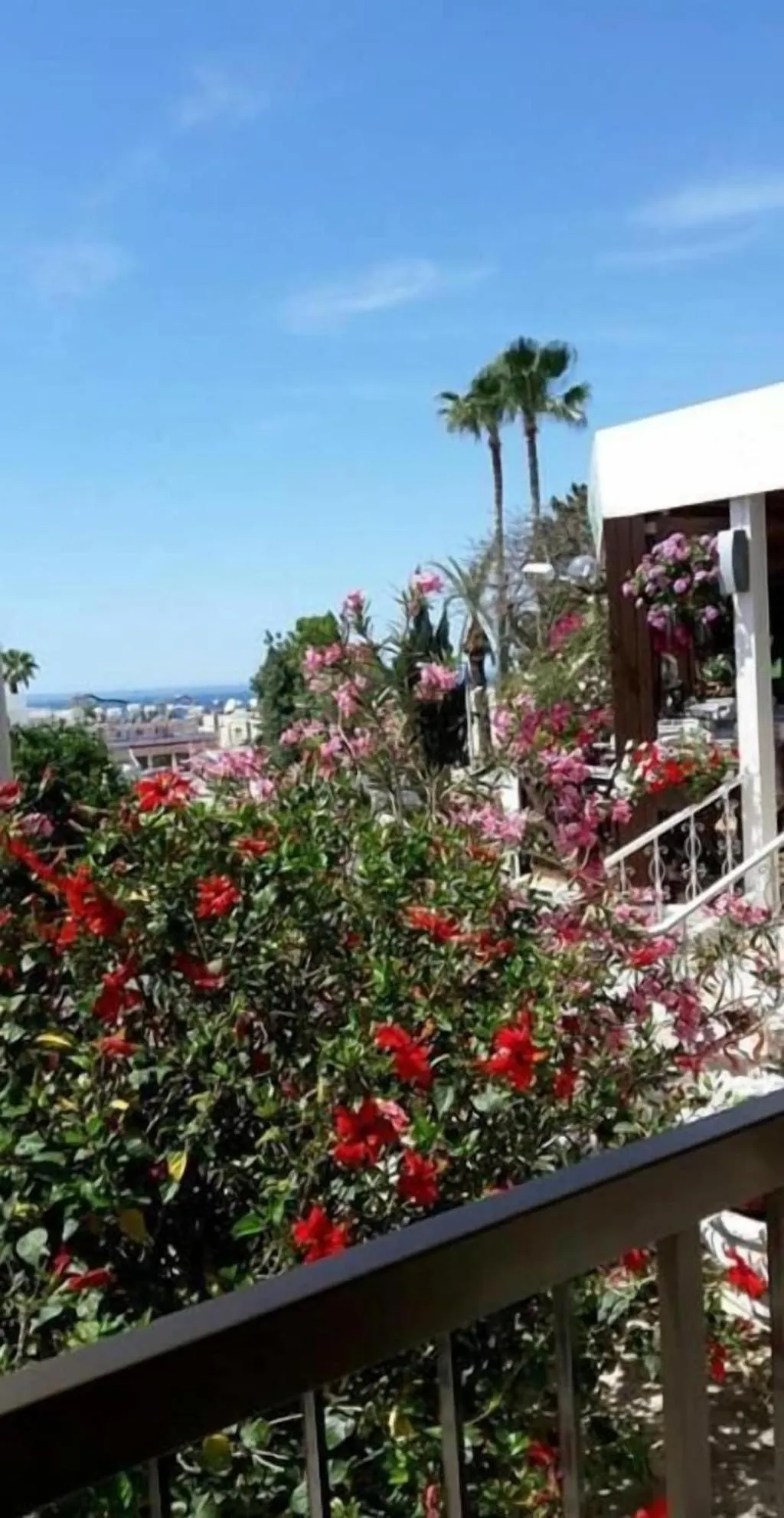 Room, Myriama Apartments, Cyprus