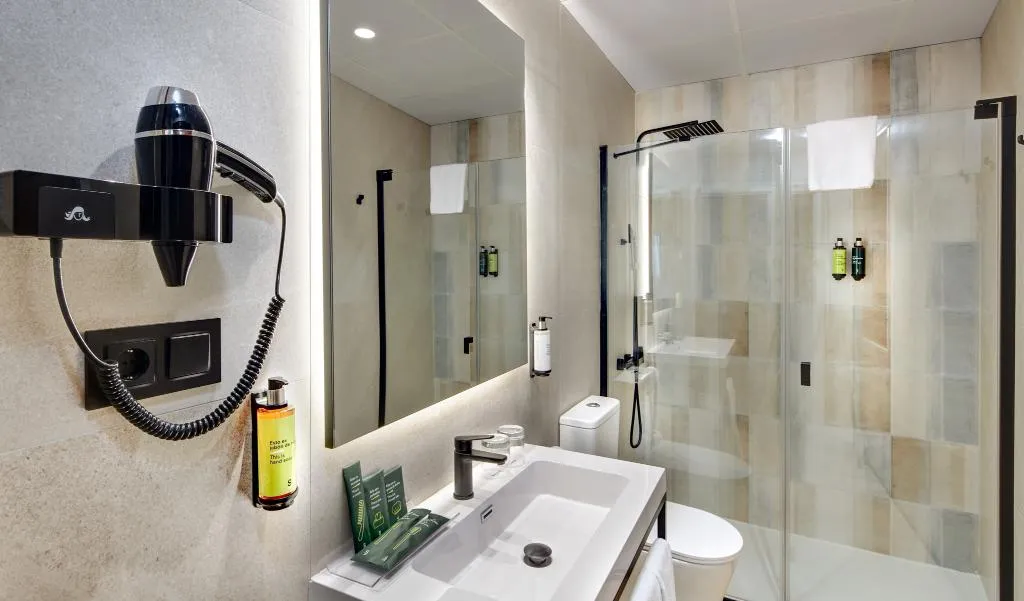 DOUBLE STANDARD Room, Sercotel Alfonso VI, Madrid