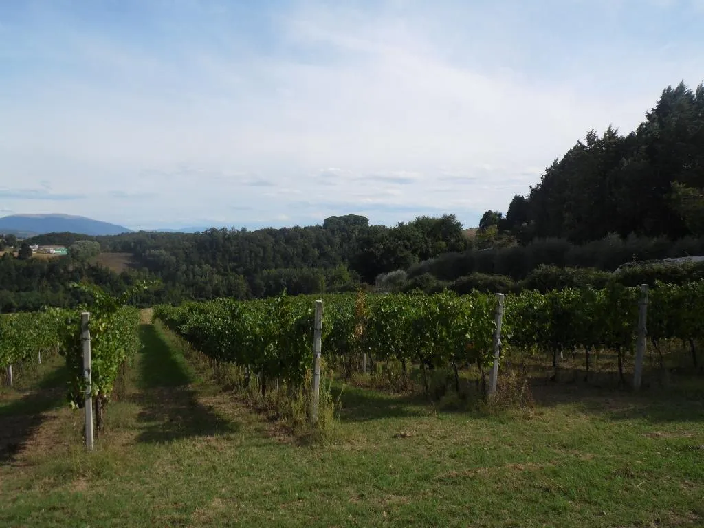 General view, Podere Caldaruccio La Pineta, Perugia