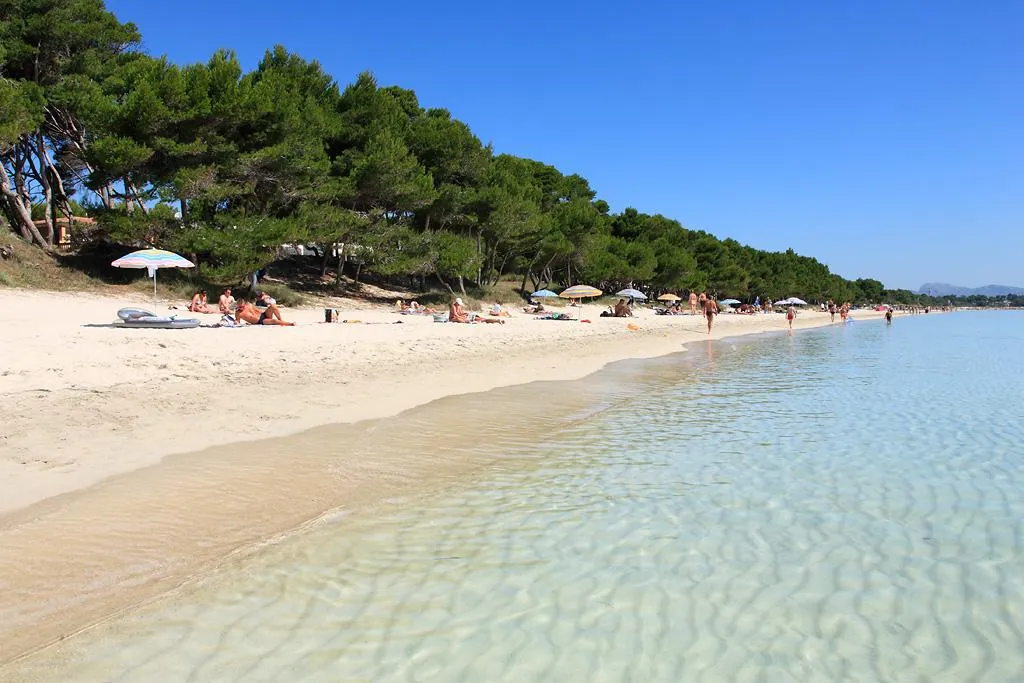 Beach, JS Alcudi Mar, Majorca