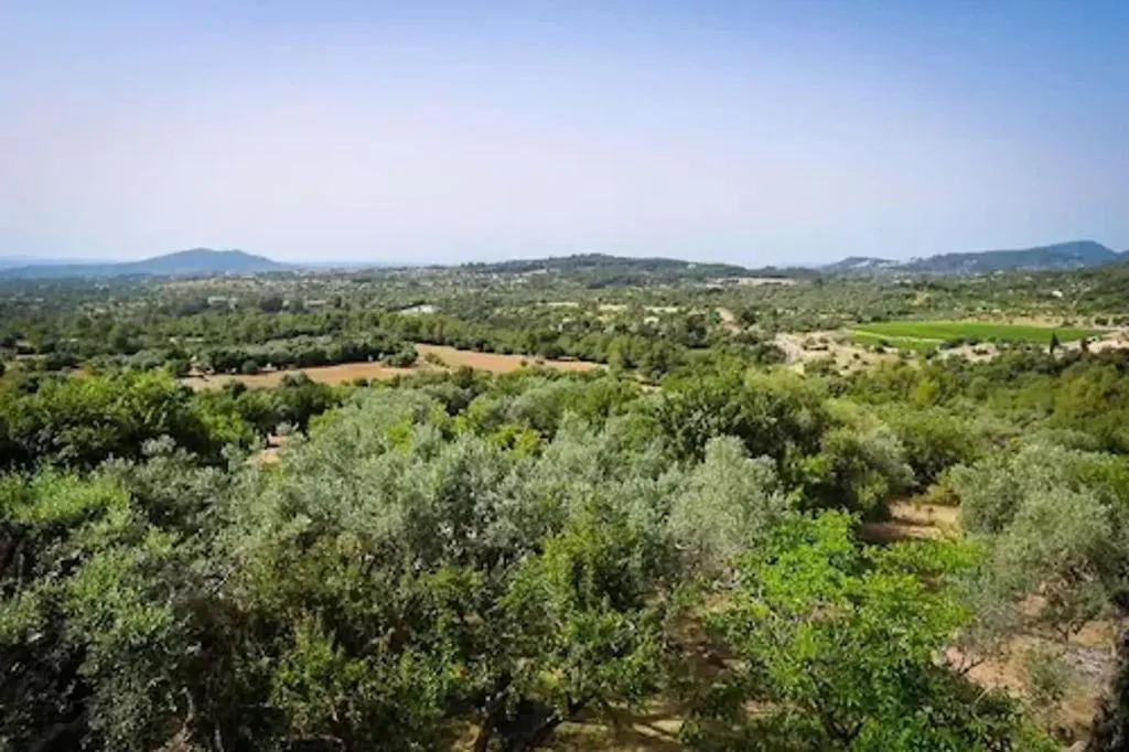 General view, Finca Hotel Es Castell, Majorca
