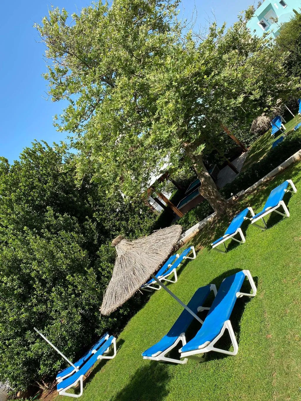 Sports and Entertainment, COOEE Kyknos Beach Hotel & Bungalows, Crete
