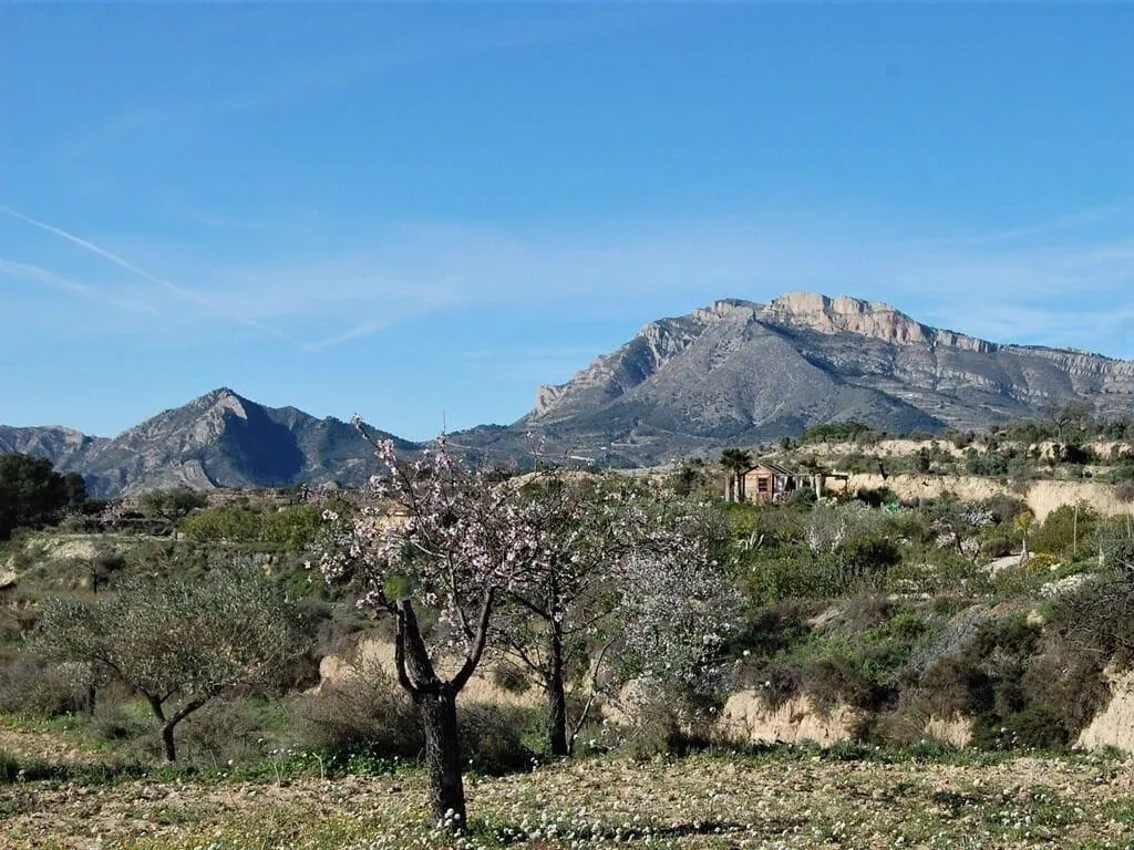 General view, El Pao, Costa Blanca