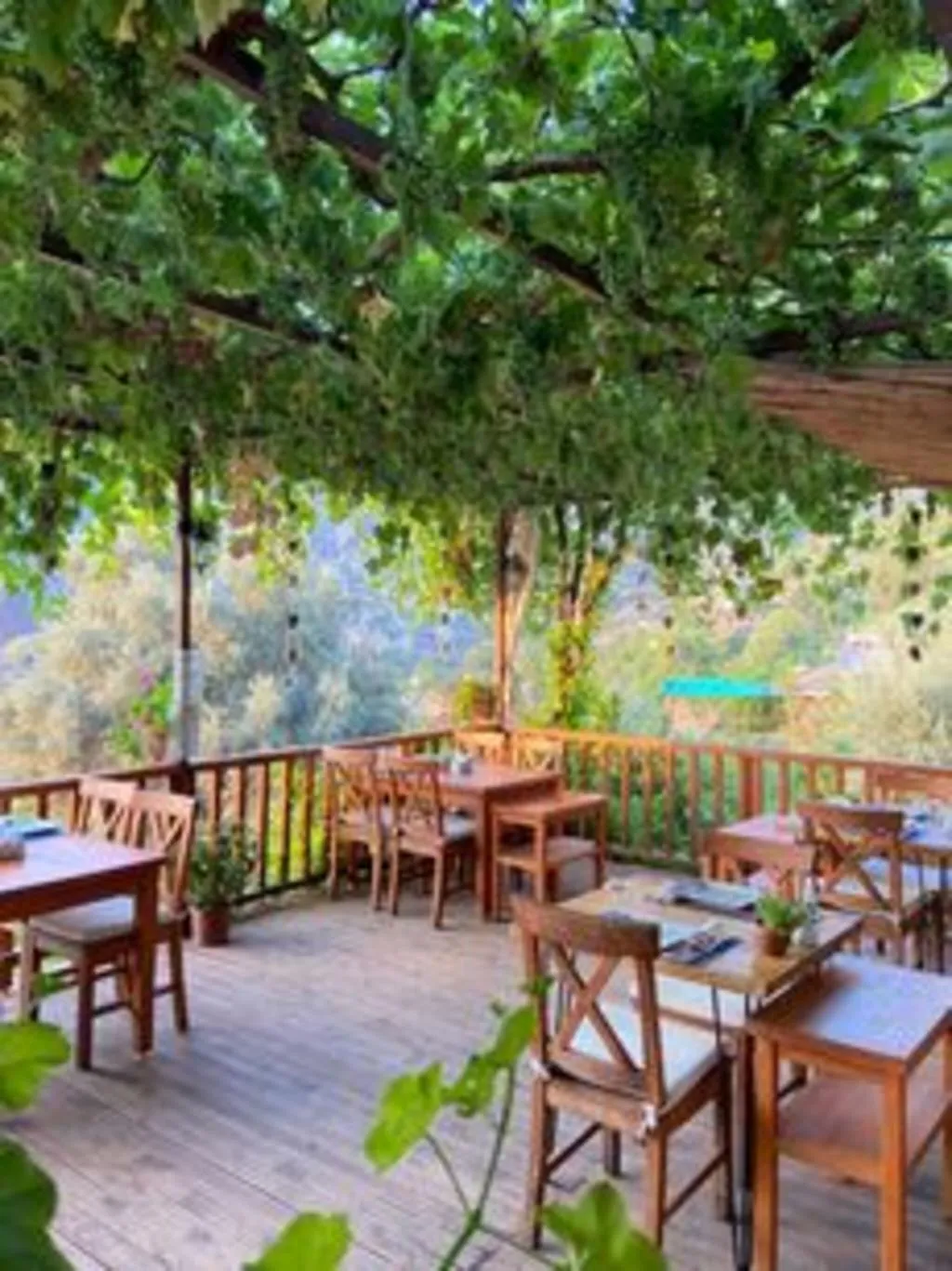 Lobby, Faralya Misafir Evi, Dalaman