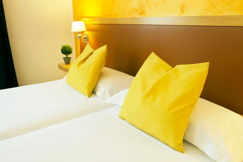 TWIN STANDARD Room, ibis Styles Roma Vintage, Rome