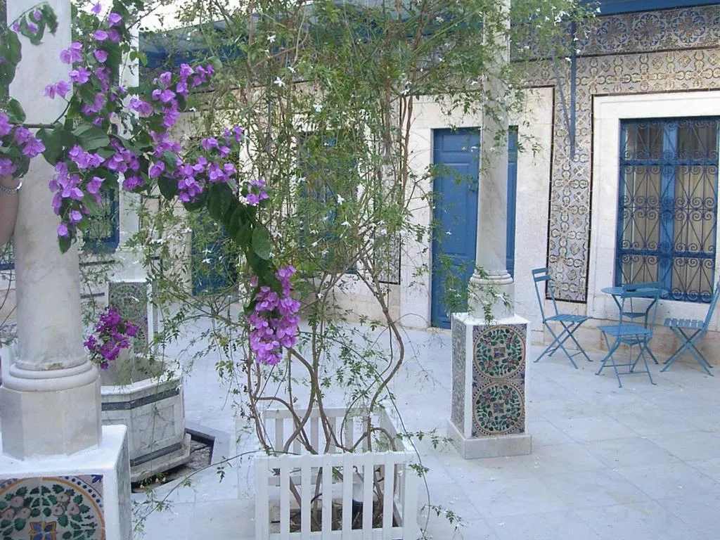 Terrace, Dar Said, Tunisia