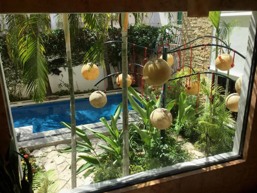 Pool, Las Golondrinas, Playa Del Carmen