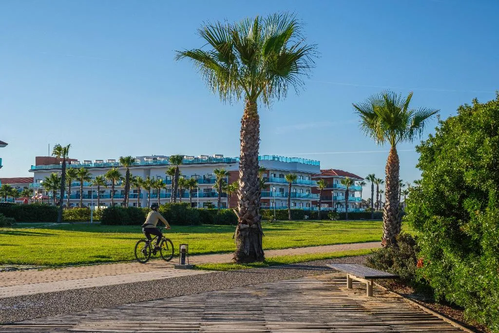Beach, Best Costa Ballena, Costa De La Luz