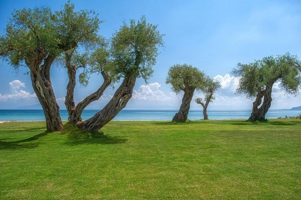 Room, Domes Miramare, A Luxury Collection Resort, Corfu, Corfu