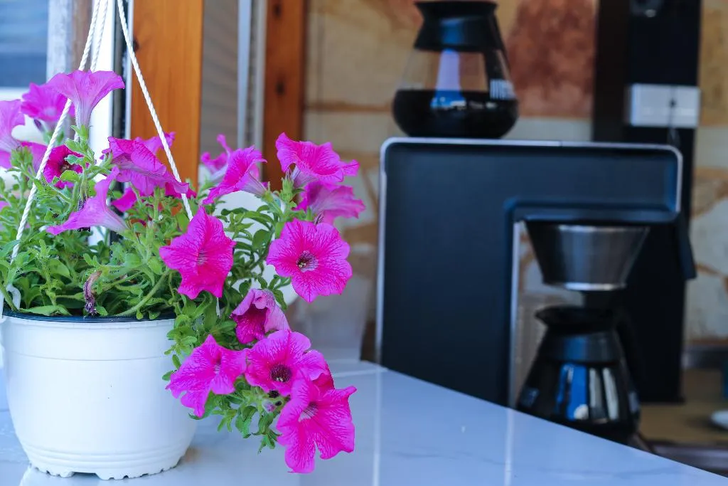 Bar, Mandy Suites, Crete
