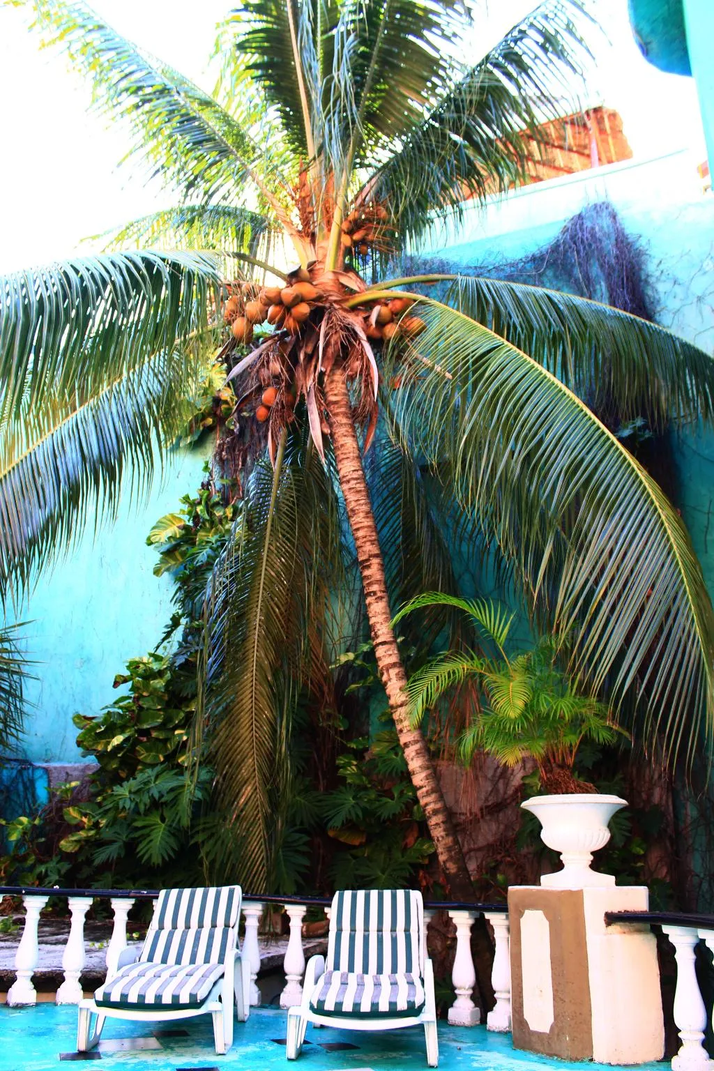 Terrace, Maya Del Mar, Playa Del Carmen
