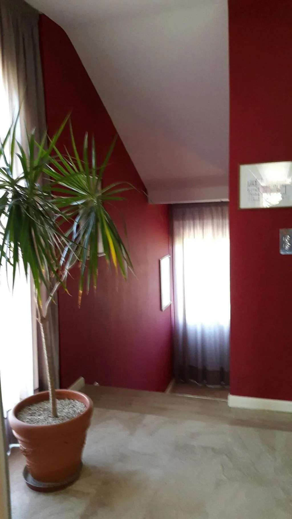Room, Hotel Mediterraneo, Naples