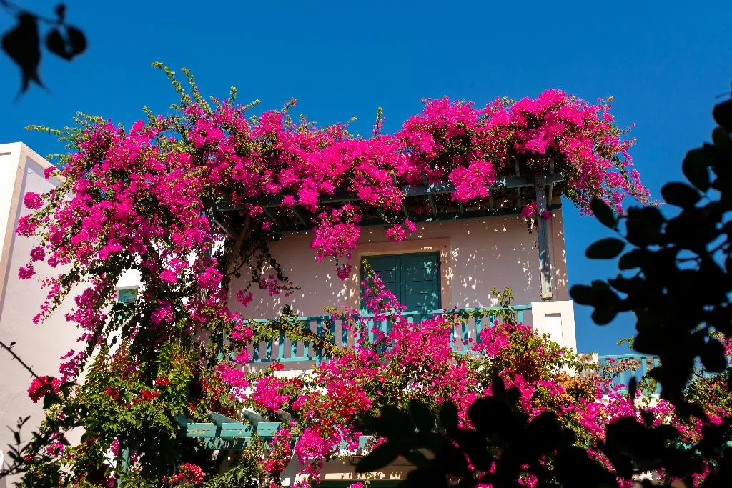 Terrace, Andreas Aparthotel, Santorini