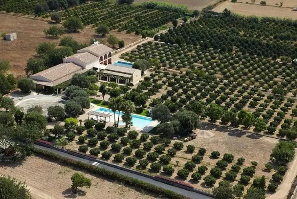 General view, Can Arabi, Ibiza