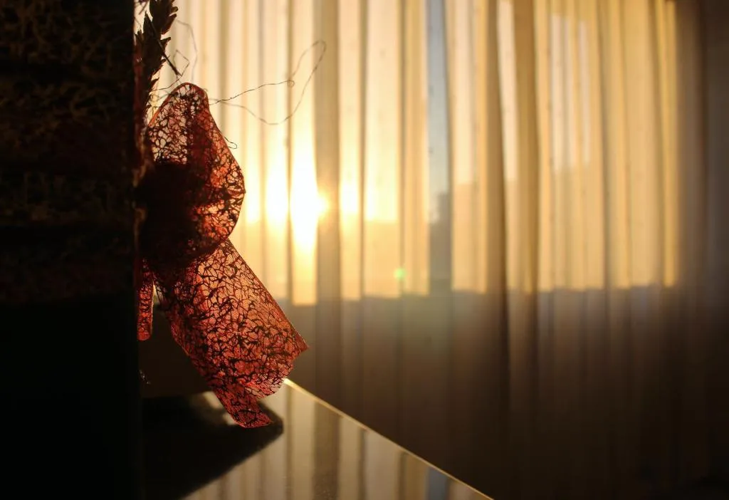 SINGLE STANDARD Room, Meia Lua, Porto