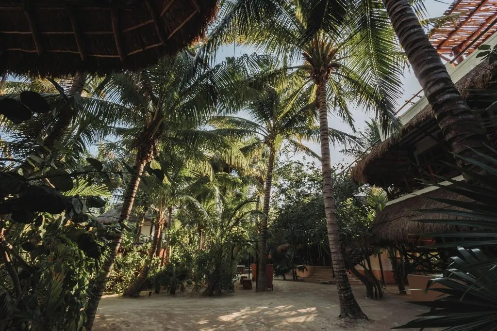 Terrace, Hotel Las Nubes Holbox, Cancun Area