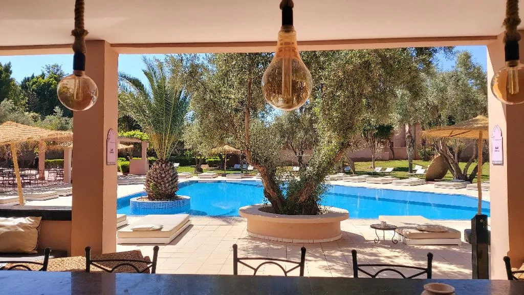 General view, Riad La Maison des Oliviers, Marrakech