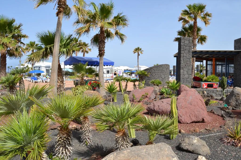 General view, Vik  Coral Beach, Lanzarote