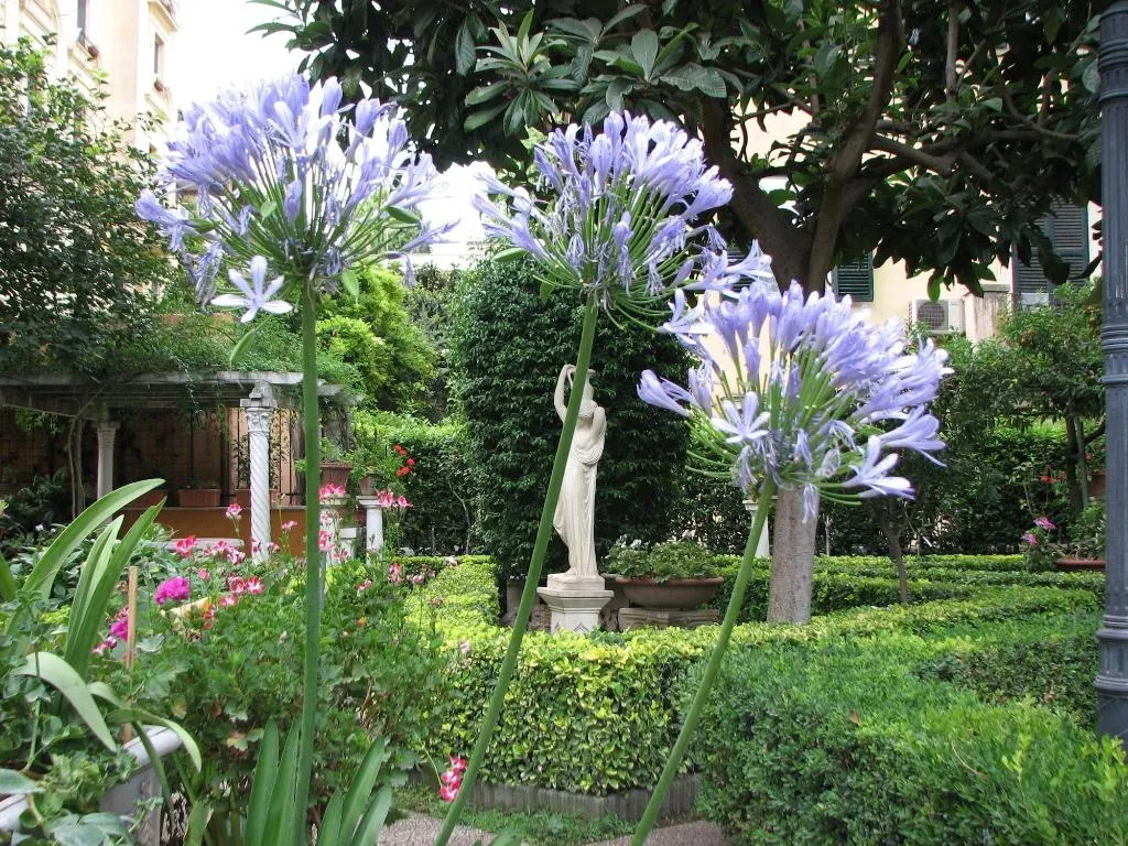 General view, Villa Matissa, Rome