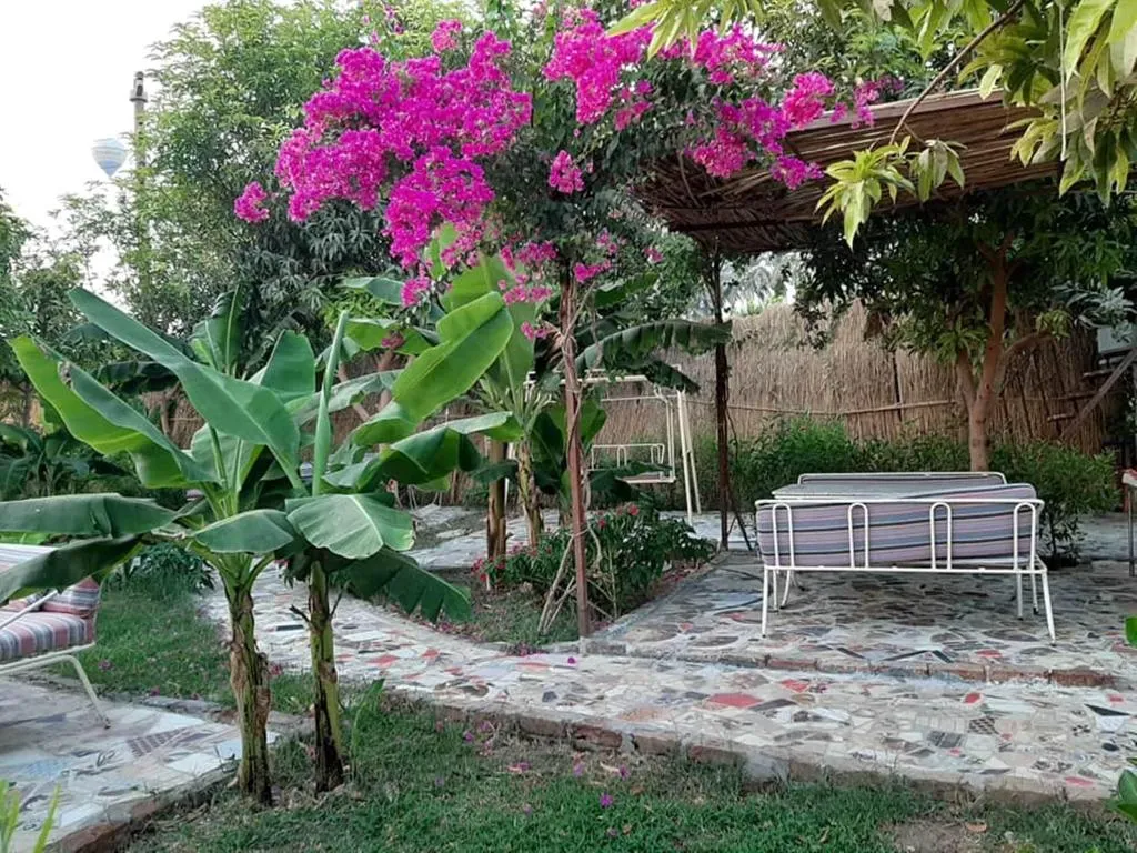 General view, Nile Compound Hotel, Luxor