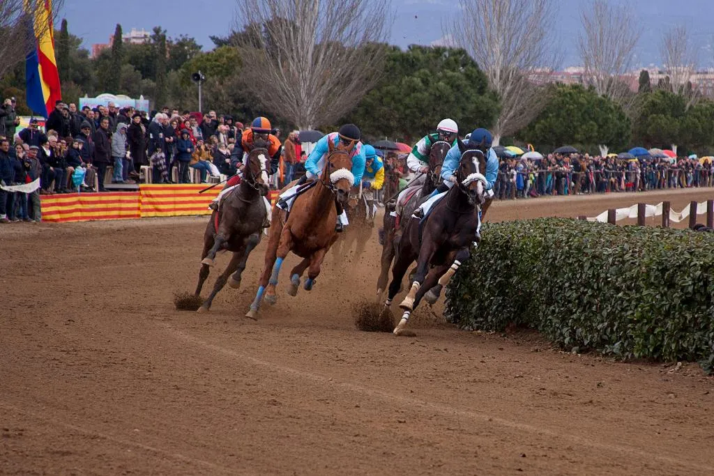 Sports and Entertainment, Rentalmar Pineda Suites, Costa Brava