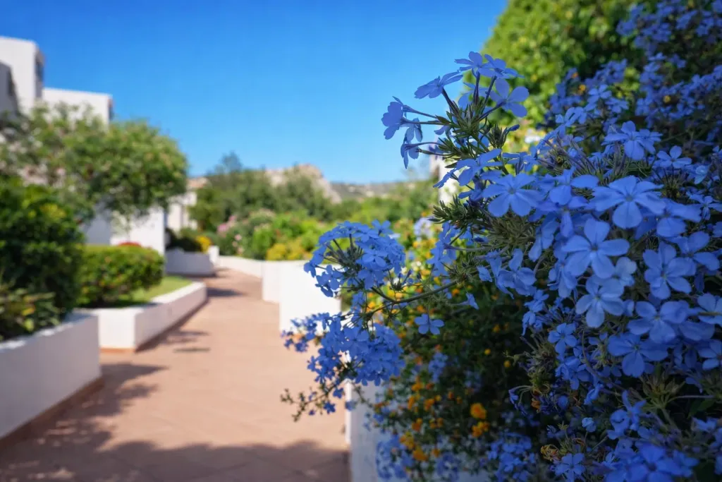 Lobby, Hotiday Baja Sardinia Seaside, Olbia