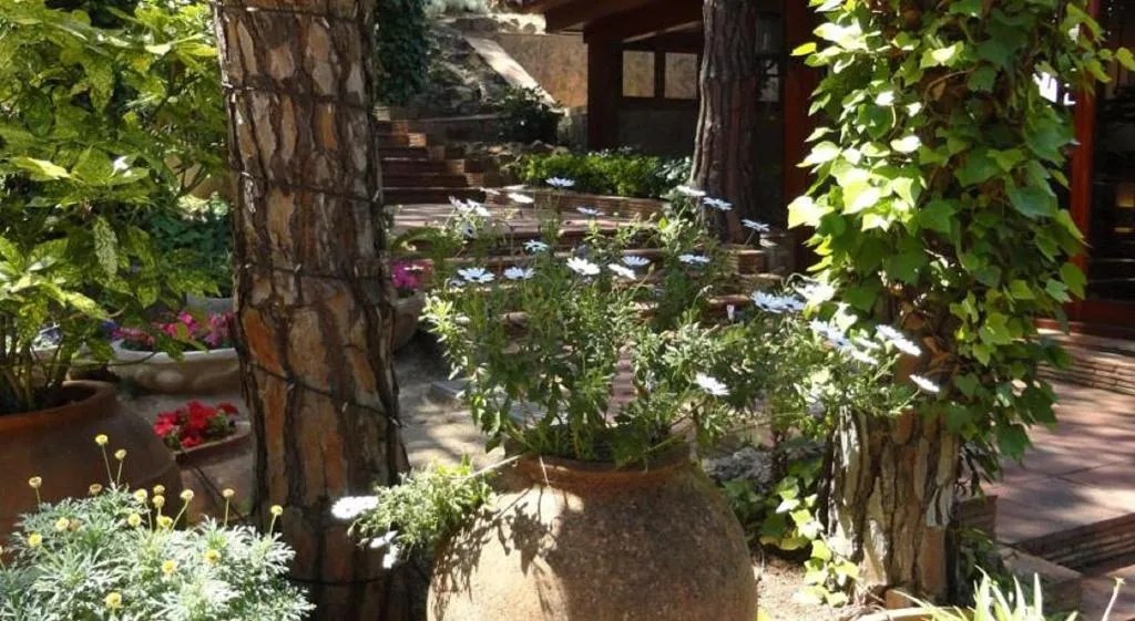 Terrace, Garbi Calella Palafrugell, Costa Brava