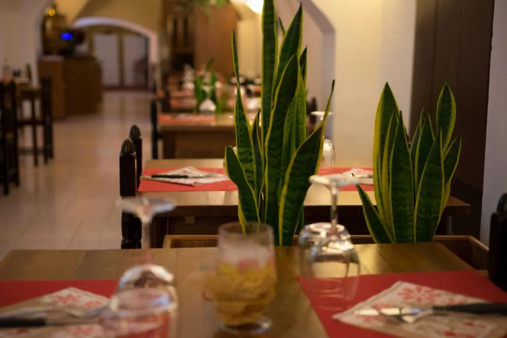 Restaurant, La Vecchia Cartiera, Florence
