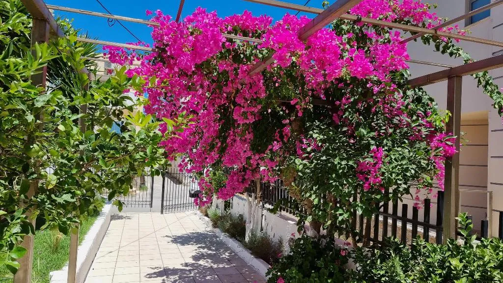 General view, Ocean Village Apartments, Crete