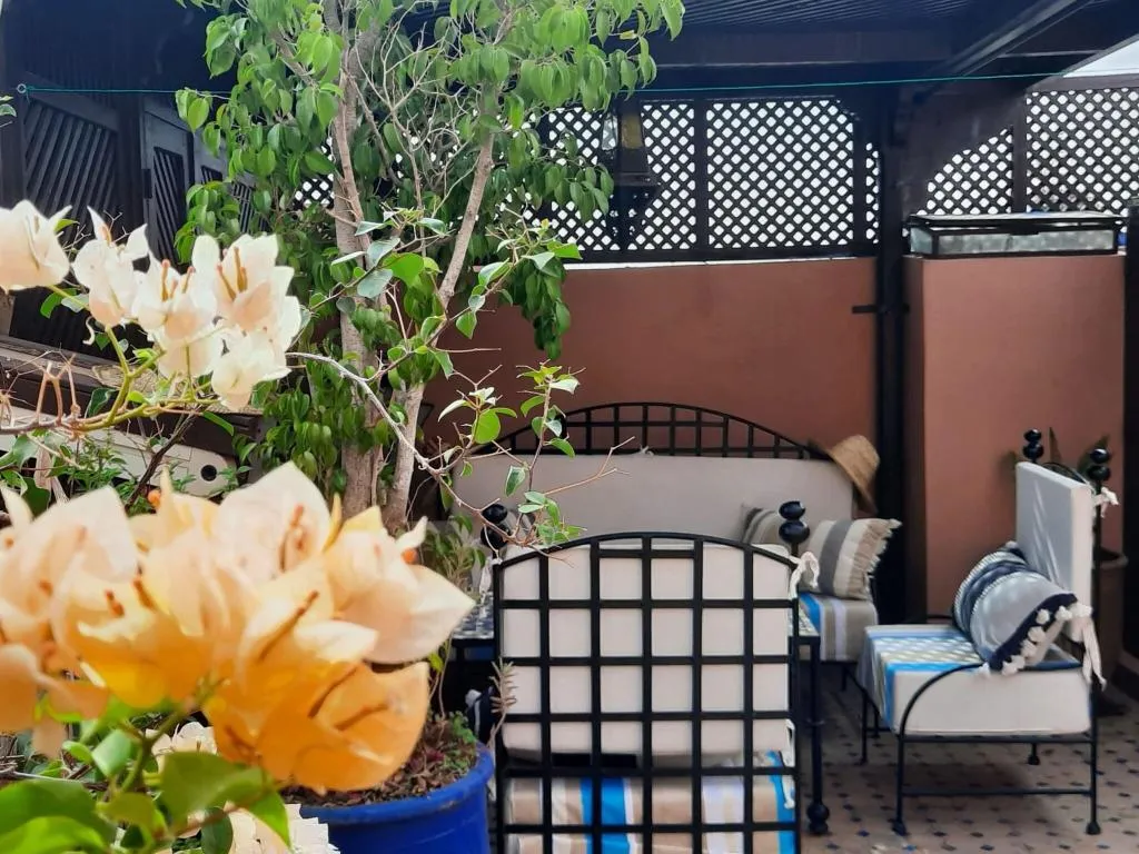 Terrace, Riad Aubrac, Marrakech