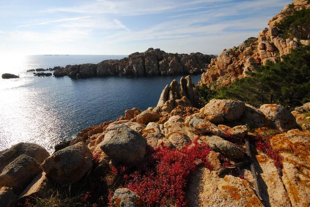 Beach, Grand Hotel Resort Ma&Ma - Adults Only, Olbia
