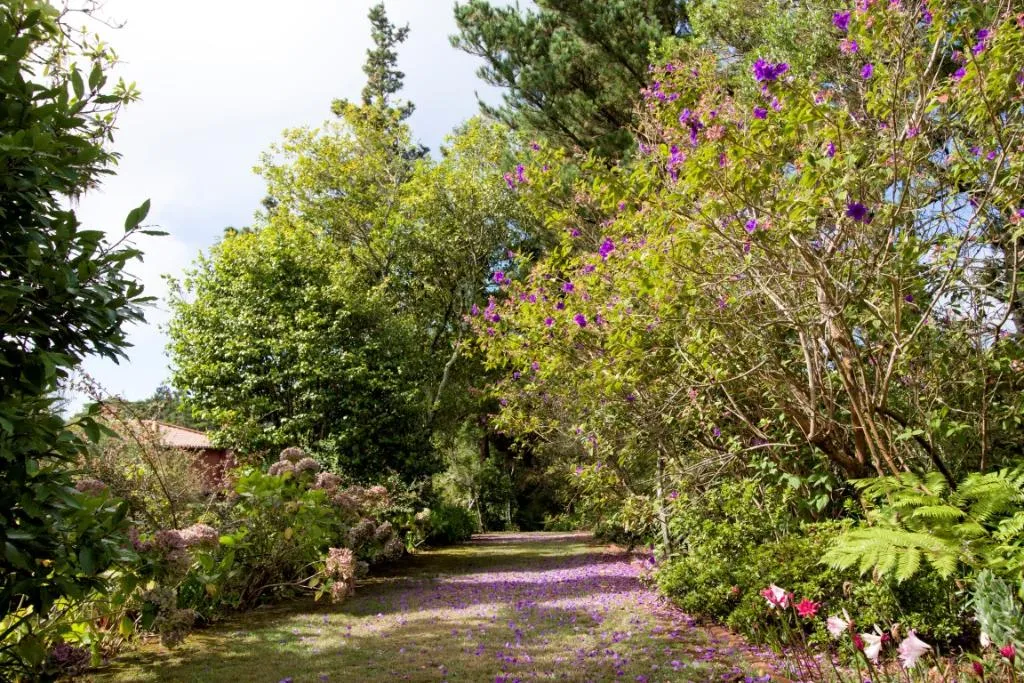 General view, Quinta Santo Antonio Da Serra, Madeira