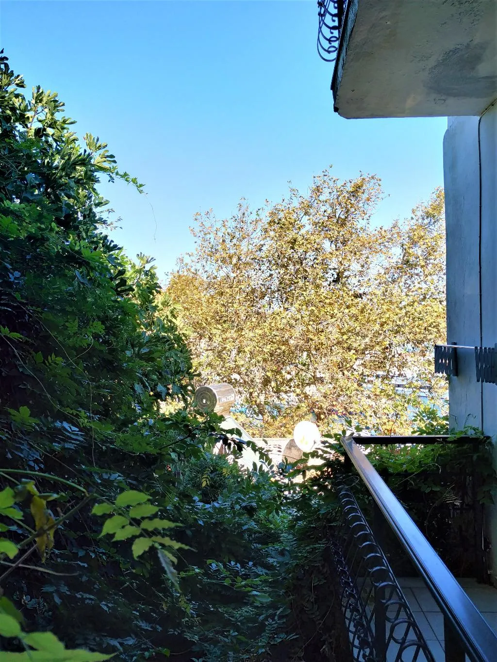 Double or Twin WITH BALCONY Room, Argo, Skiathos