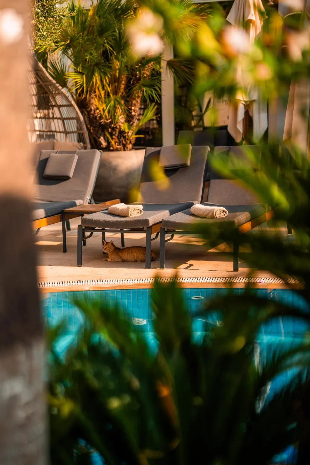 General view, Elegance East Hotel, Antalya