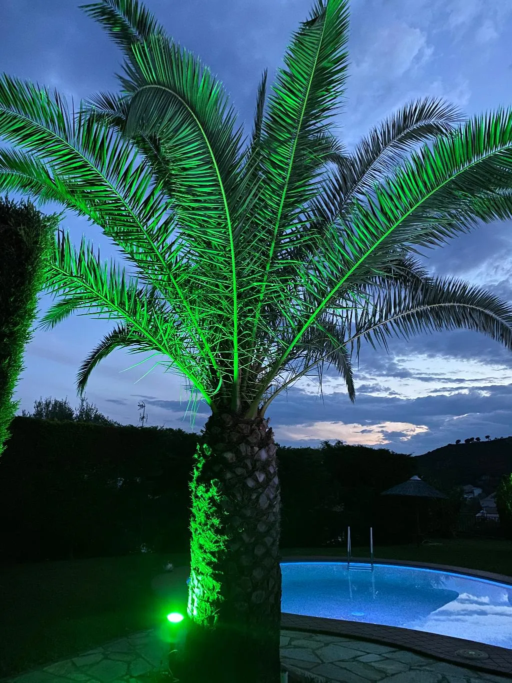 Pool, Villa Xanthippi, Skiathos
