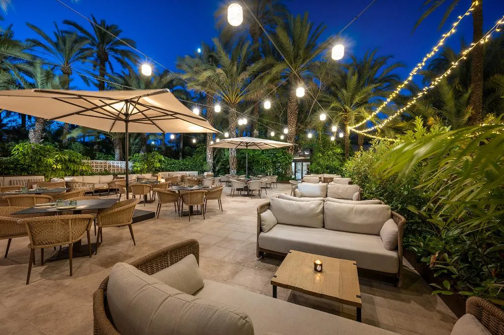 Terrace, Huerto del Cura, Costa Blanca