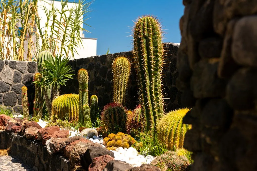 Terrace, Andreas Aparthotel, Santorini