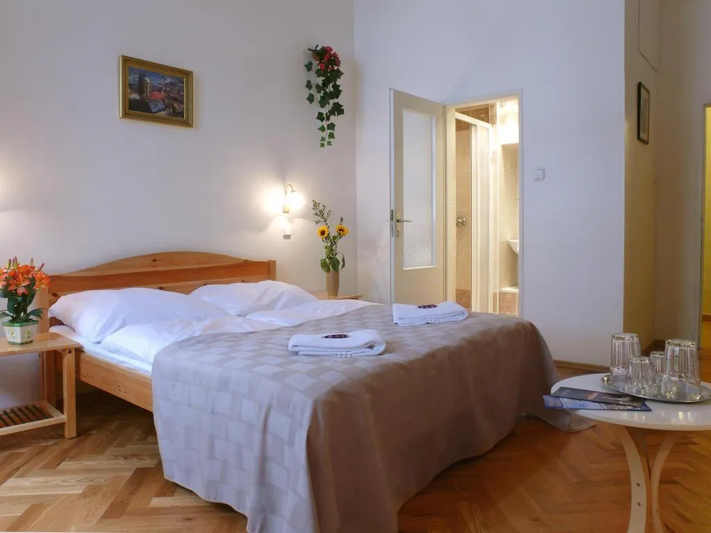 DOUBLE STANDARD Room, Pension Prague City, Prague