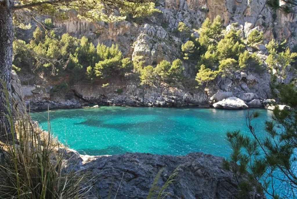 Beach, reco de Randa, Majorca