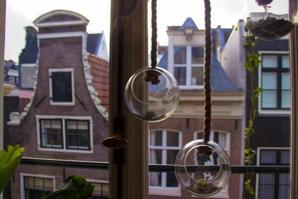 Restaurant, Attic Monkeys Lodge, Amsterdam