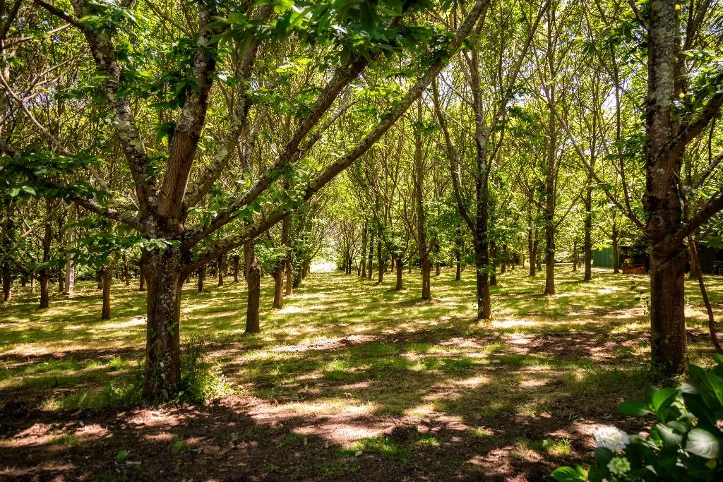 General view, Quinta Do Casal Do Condado, Porto
