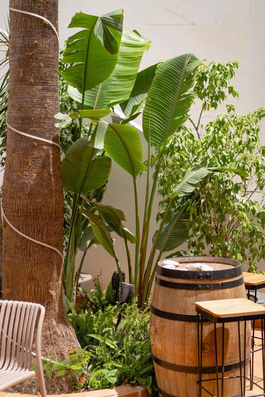 Terrace, Internacional Hotel, Costa Blanca