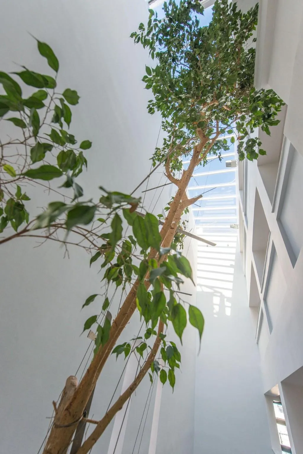 Lobby, Avra City Hotel, Crete