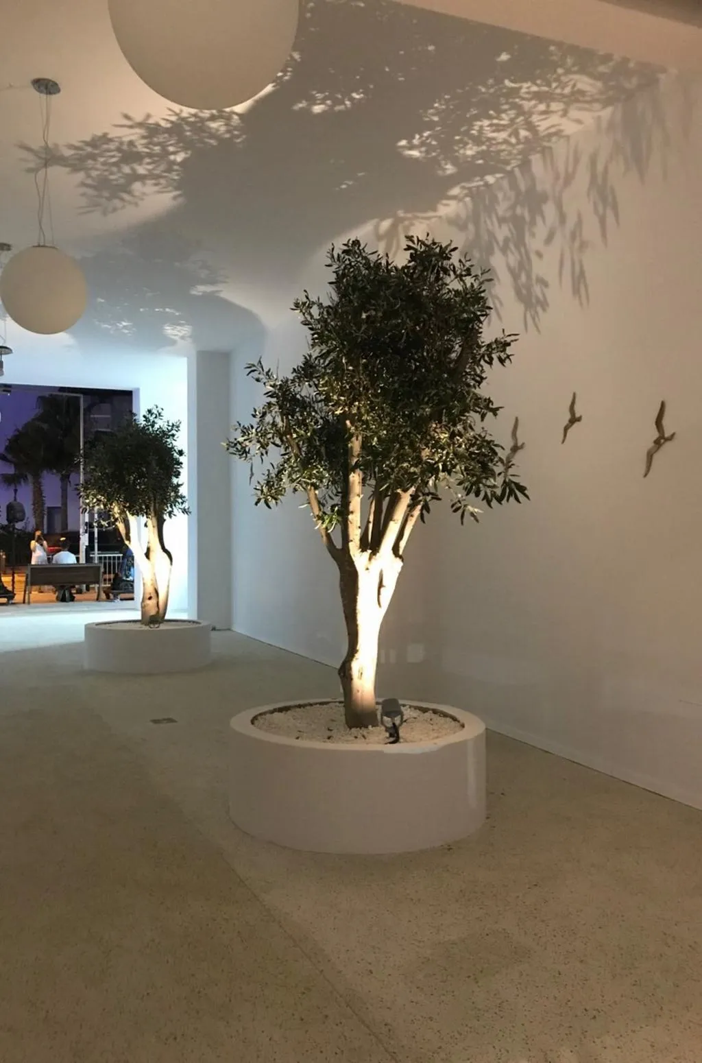 General view, Abacus Suites, Cyprus