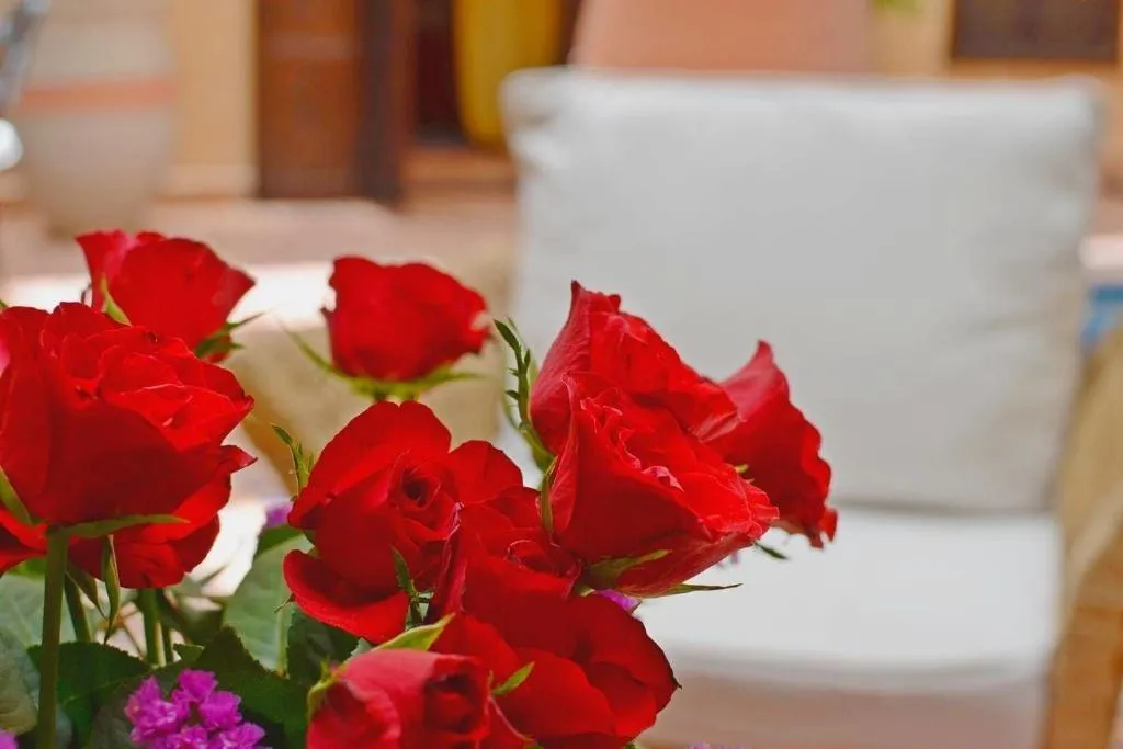 Room, Riad Hadda, Marrakech