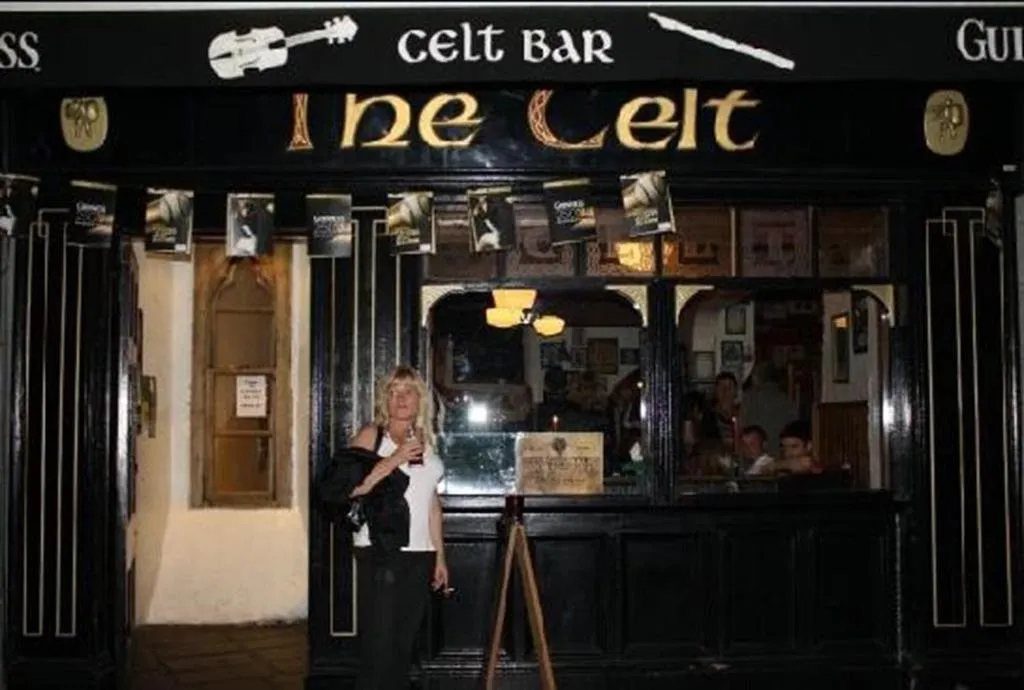 General view, Celtic Lodge Guesthouse Restaurant Bar, Dublin