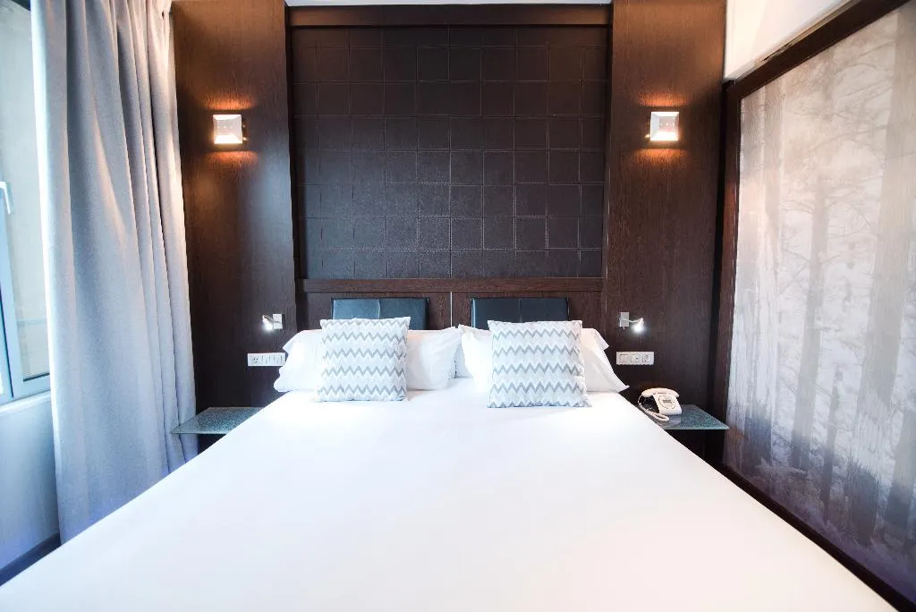 DOUBLE SINGLE USE STANDARD Room, Petit Palace President Castellana, Madrid